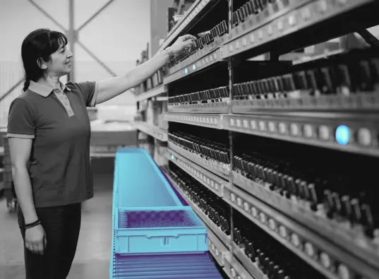 Magazijnoptimalisatie 14 Warehouse viewer WMS