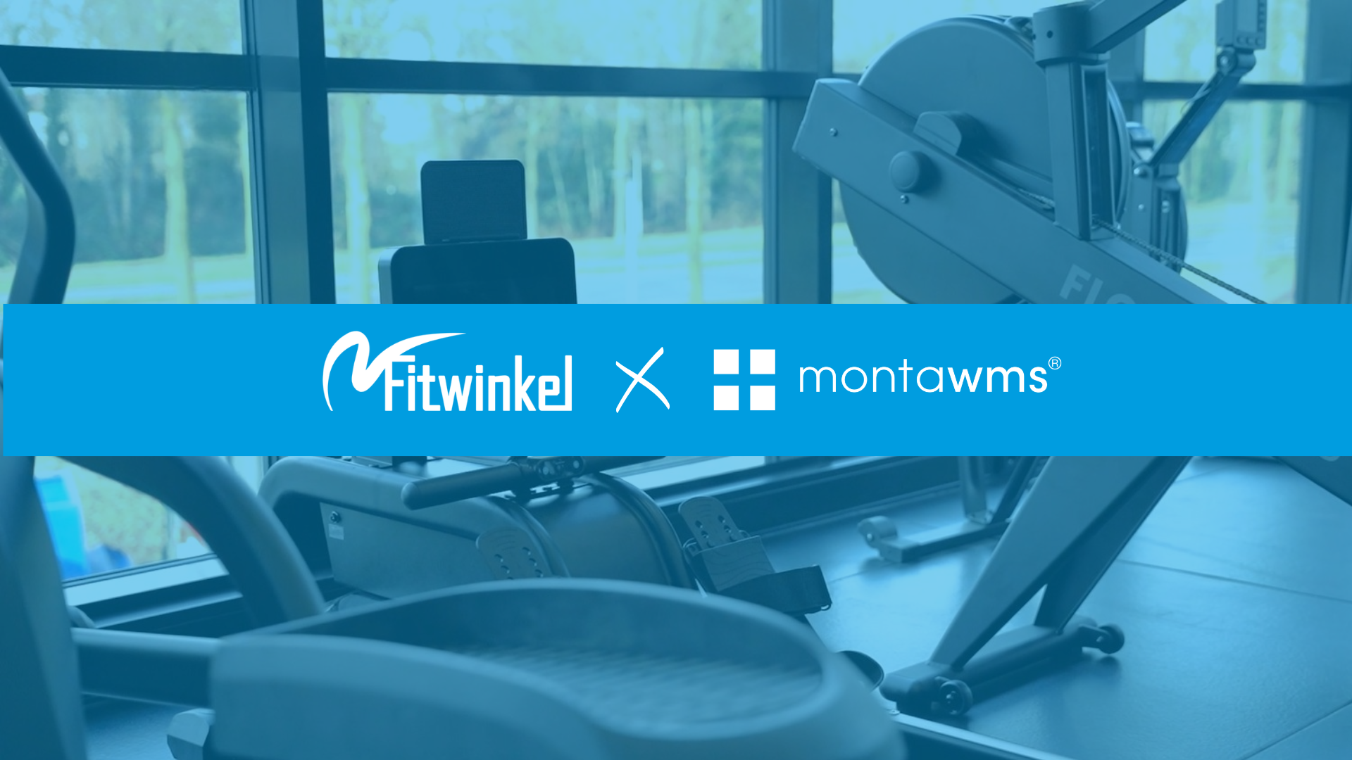 Fitwinkel X MontaWMS